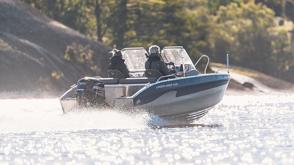 Linder Arkip 530 BR | Mercury F100 3 of 6