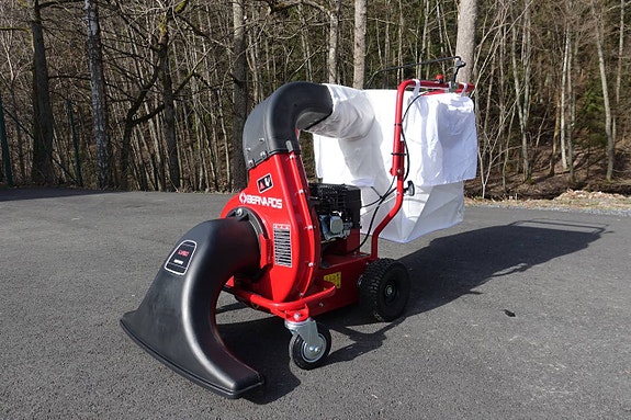 Lövsug Bernards, professionell modell