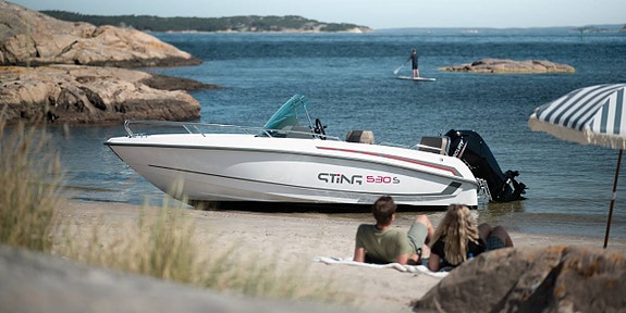 Sting 530 S | Mercury F80 | Höstspecial!