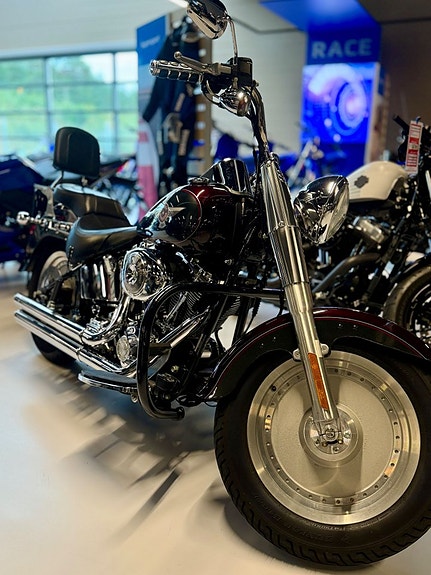 Harley-Davidson Fatboy 2 of 5