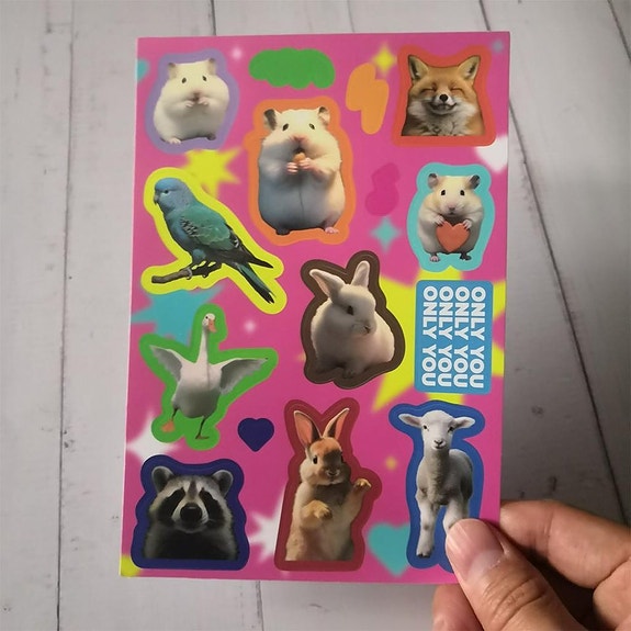 Product image 5 of 6