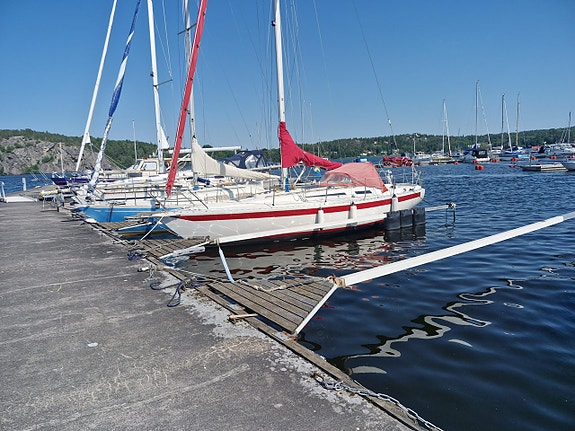 Mamba 31 — Vedi foto 1