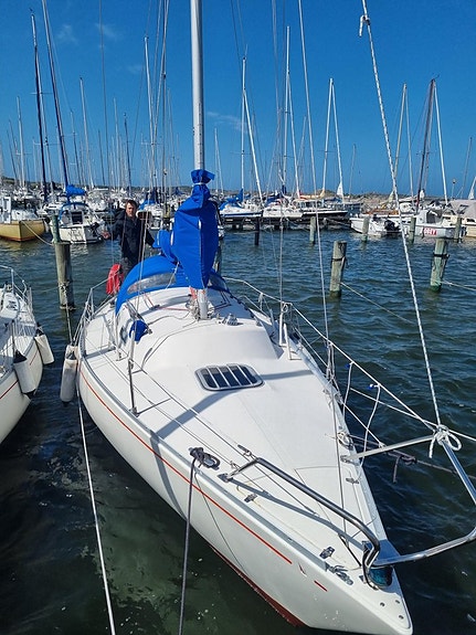 Albin Accent 26 fot, seglingsklar, nyservad Yanmar motor 2 of 16
