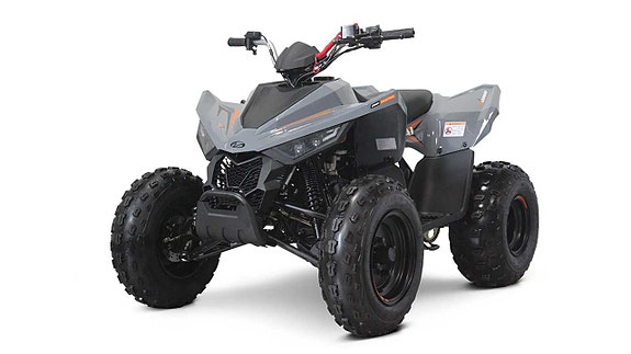 Linhai ATV 110 EFI 4 of 5