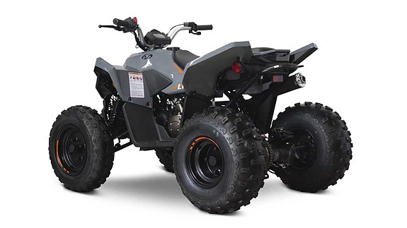 Linhai ATV 110 EFI 2 of 5