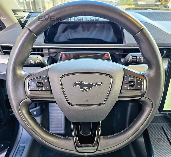 Ford Mustang Mach-E 19 of 30