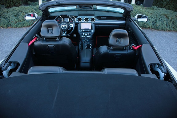 Ford Mustang 11 of 14