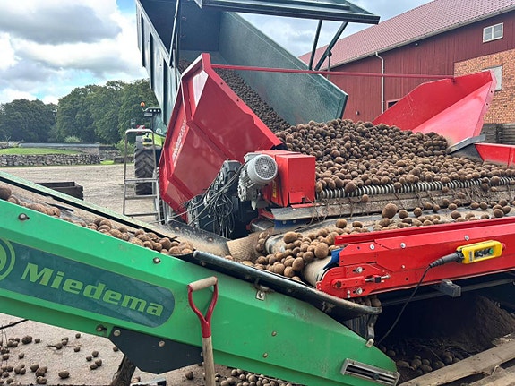 Miedema avlastarbord SB651 till potatis 3 of 6