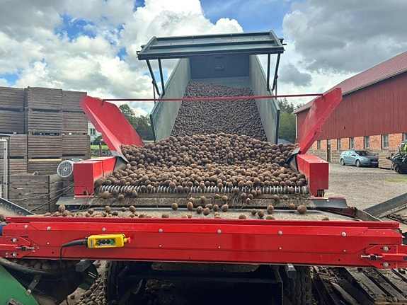 Miedema avlastarbord SB651 till potatis 4 of 6