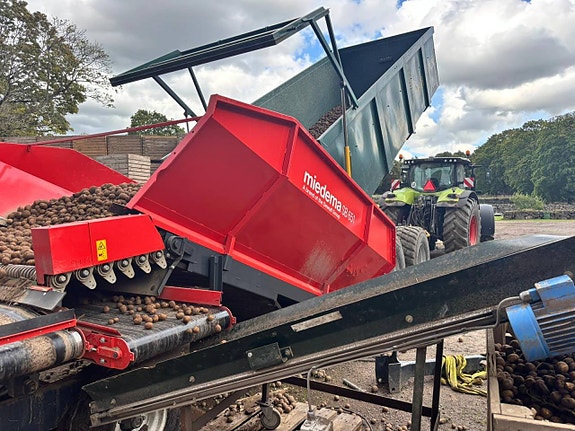 Miedema avlastarbord SB651 till potatis 5 of 6