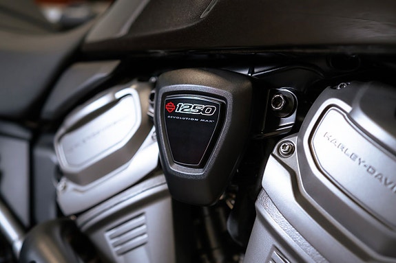 Harley-Davidson Pan America  1250 / Sidoväskor & Toppbox 15 of 19