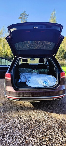 Volkswagen Passat 10 of 15