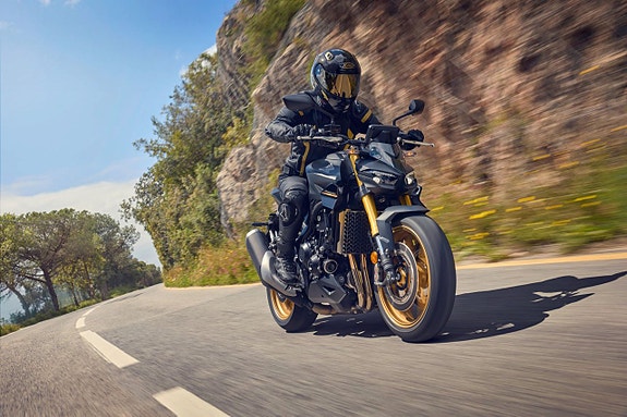 Honda CB 1000 SP Hornet - 2026 7 of 11