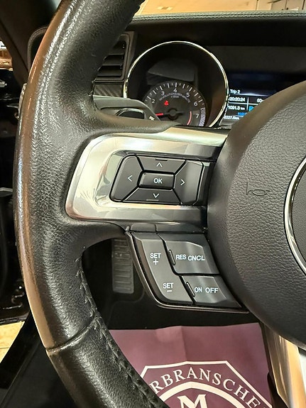Ford Mustang 19 of 27