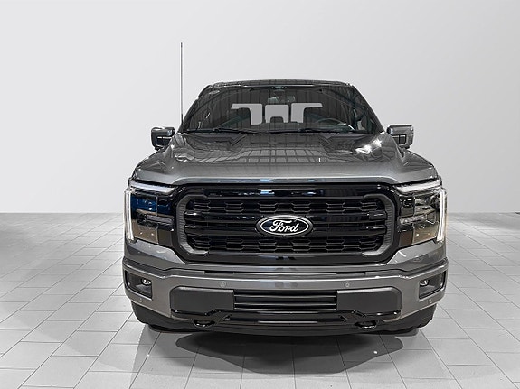 Ford F-150 9 of 30