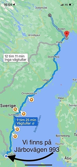 Voge DS800 RALLY 5-ÅRS GARANTI KÖP ONLINE! *Fri frakt I BUTIK 11 of 11