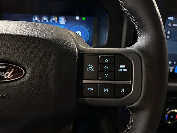 Ford F-150 28 of 30