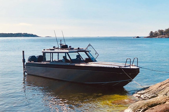 Angus A95 Coupé - 2026