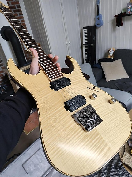 Ibanez Rg721fm Inc Case