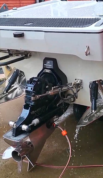Goldfish 28 Bullet -2018 6 of 6