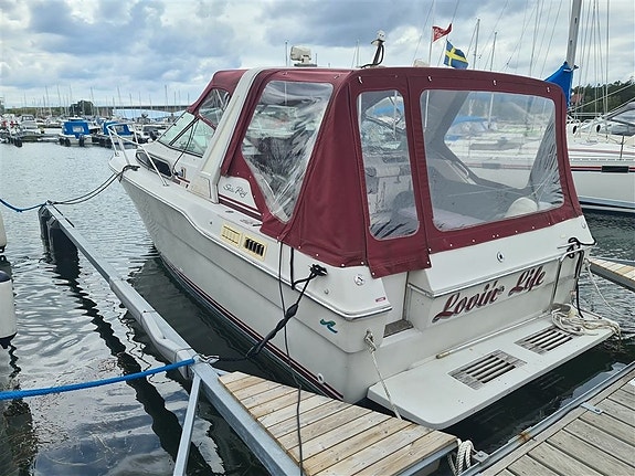 Välj märke SEA RAY 300 sundacer DA 3 of 18