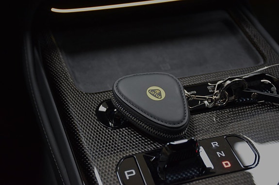 Lotus Emeya 28 of 29