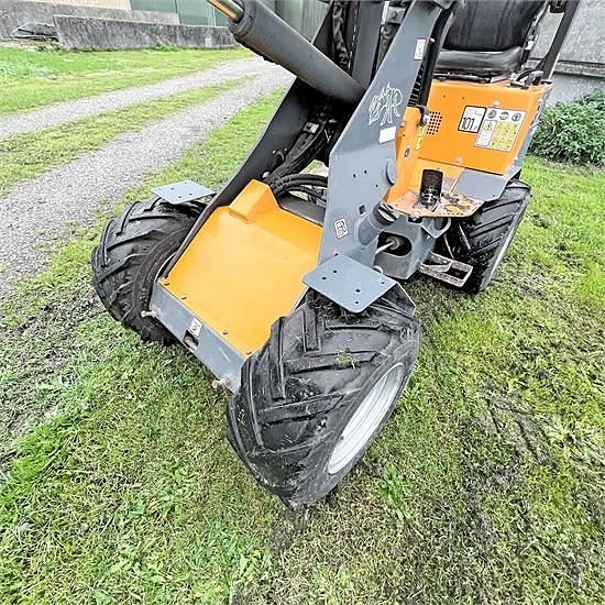 Giant D254 SW - Vægt / weight 1,6 ton 17 of 30