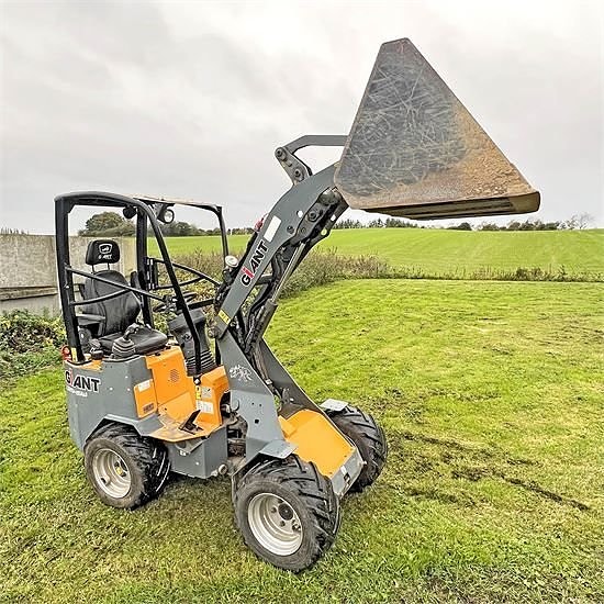 Giant D254 SW - Vægt / weight 1,6 ton 11 of 30