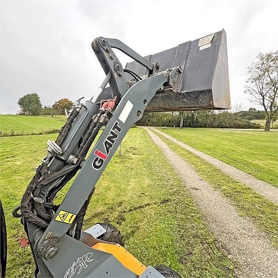 Giant D254 SW - Vægt / weight 1,6 ton 16 of 30