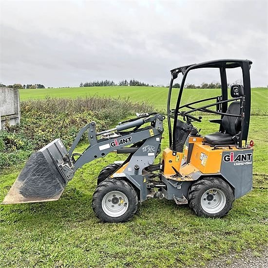 Giant D254 SW - Vægt / weight 1,6 ton 2 of 5