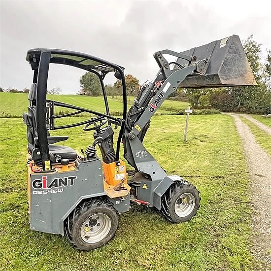 Giant D254 SW - Vægt / weight 1,6 ton 9 of 30
