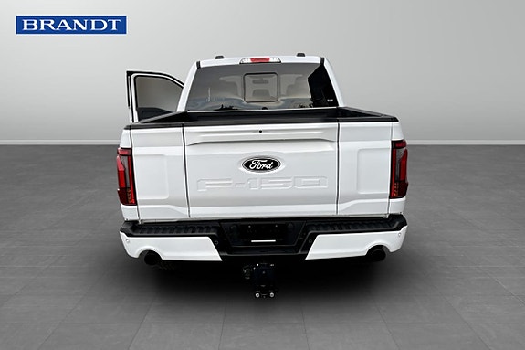 Ford F-150 18 of 18