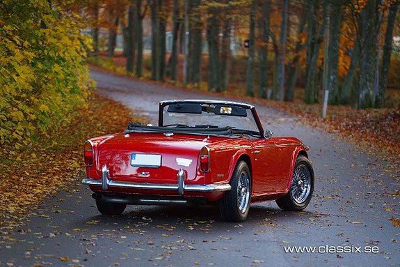 Triumph TR5 16 of 16