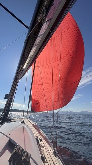 Wauquiez Optio 9.0 8 of 9