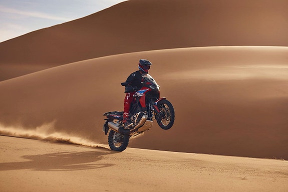 Honda CRF 1100 L AFRICA TWIN DCT 9 of 15