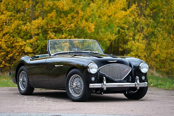 Austin Healey 100