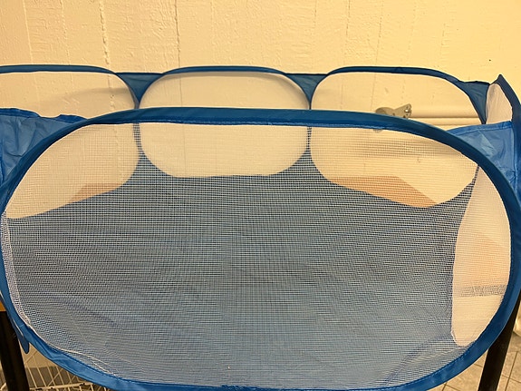 Product image 21 of 71