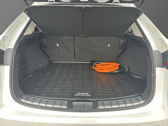 Lexus NX450h+ 11 of 11
