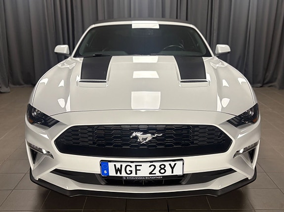 Ford Mustang 5 of 5