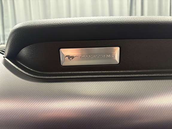 Ford Mustang 27 of 28