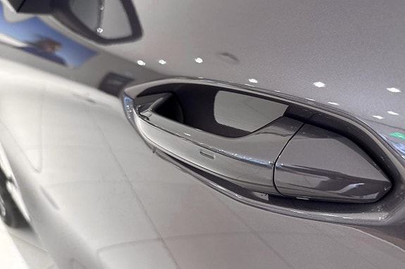 Cupra Terramar 16 of 19