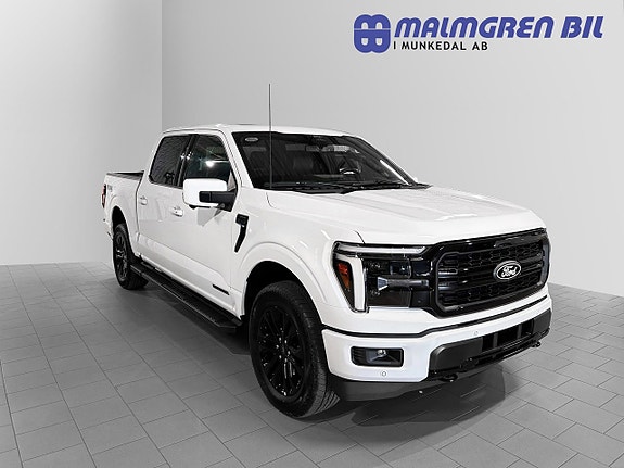 Ford F-150 9 of 30