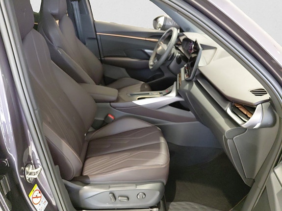 Cupra Terramar 13 of 19