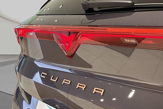 Cupra Terramar 18 of 19