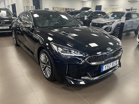 Kia Stinger 5 of 5