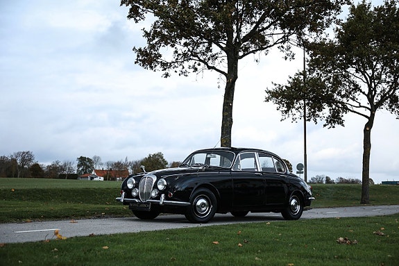Daimler 2.5 Litre V8 3 of 16