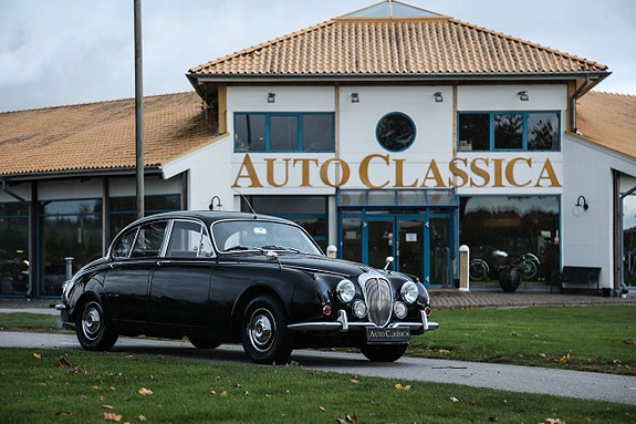 Daimler 2.5 Litre V8 5 of 16