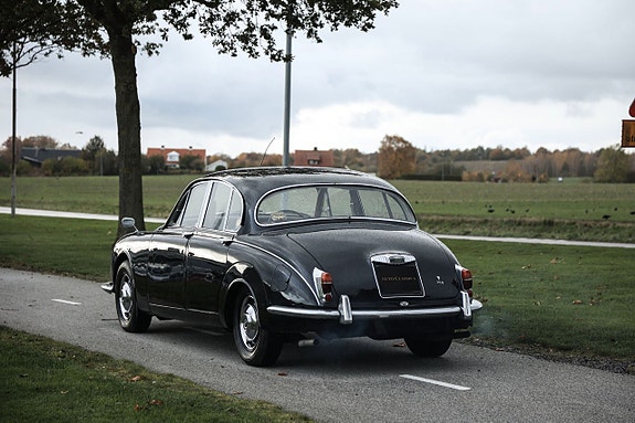 Daimler 2.5 Litre V8 7 of 16