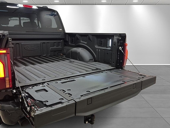 Ford F-150 20 of 21