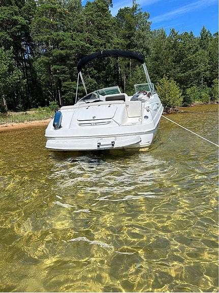 CHAPARRAL 215 SSI, 2004 2 of 4